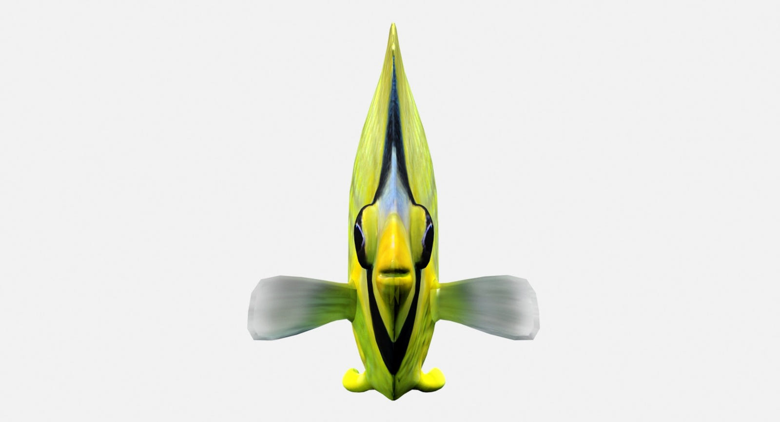 Latticed Butterfly Fish 3D Model for VFX