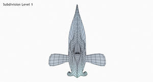 Latticed Butterfly Fish 3D Model Thumbnail