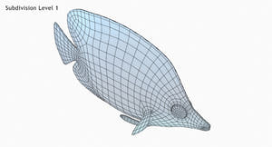 Latticed Butterfly Fish 3D Model Thumbnail