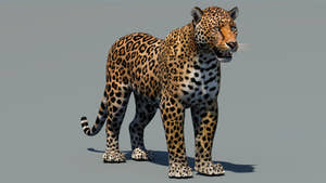 Realistic Leopard 3D Model for Download Thumbnail