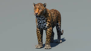 Lifelike Leopard 3D Model for Download Thumbnail