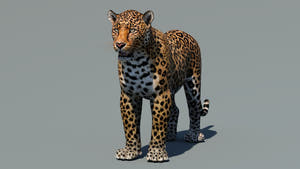 Lifelike Leopard 3D Model for Download Thumbnail