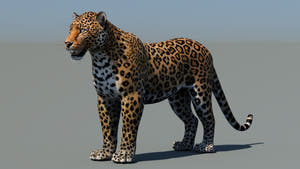 Realistic Leopard 3D Model for Game Thumbnail