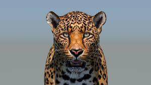 Realistic Leopard 3D Model Head Close Up for Download Thumbnail