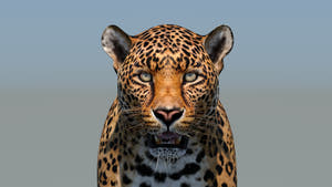 Realistic Leopard 3D Model Head Close Up for Download Thumbnail