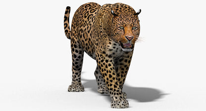 Big Cats 3D Model Animated