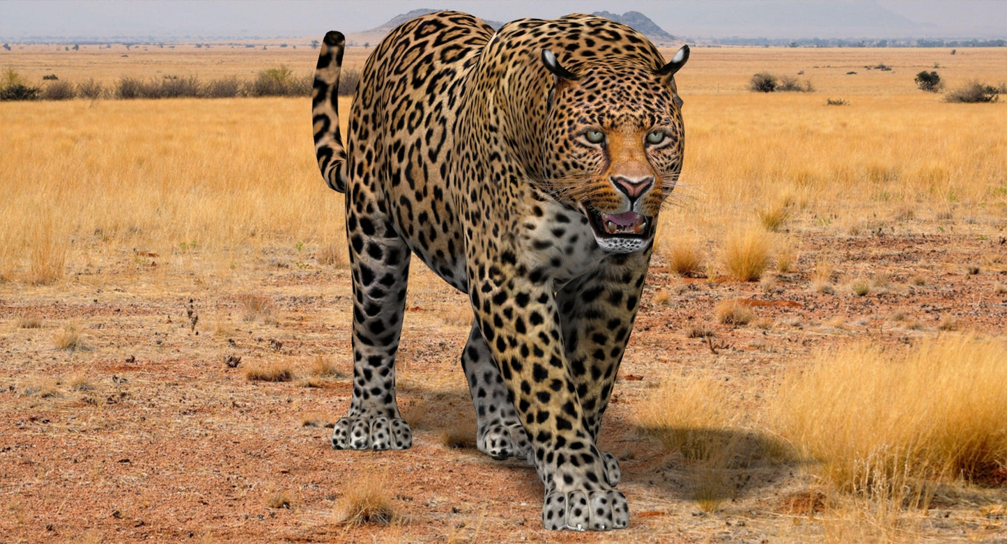 Big Cats 3D Model Animated