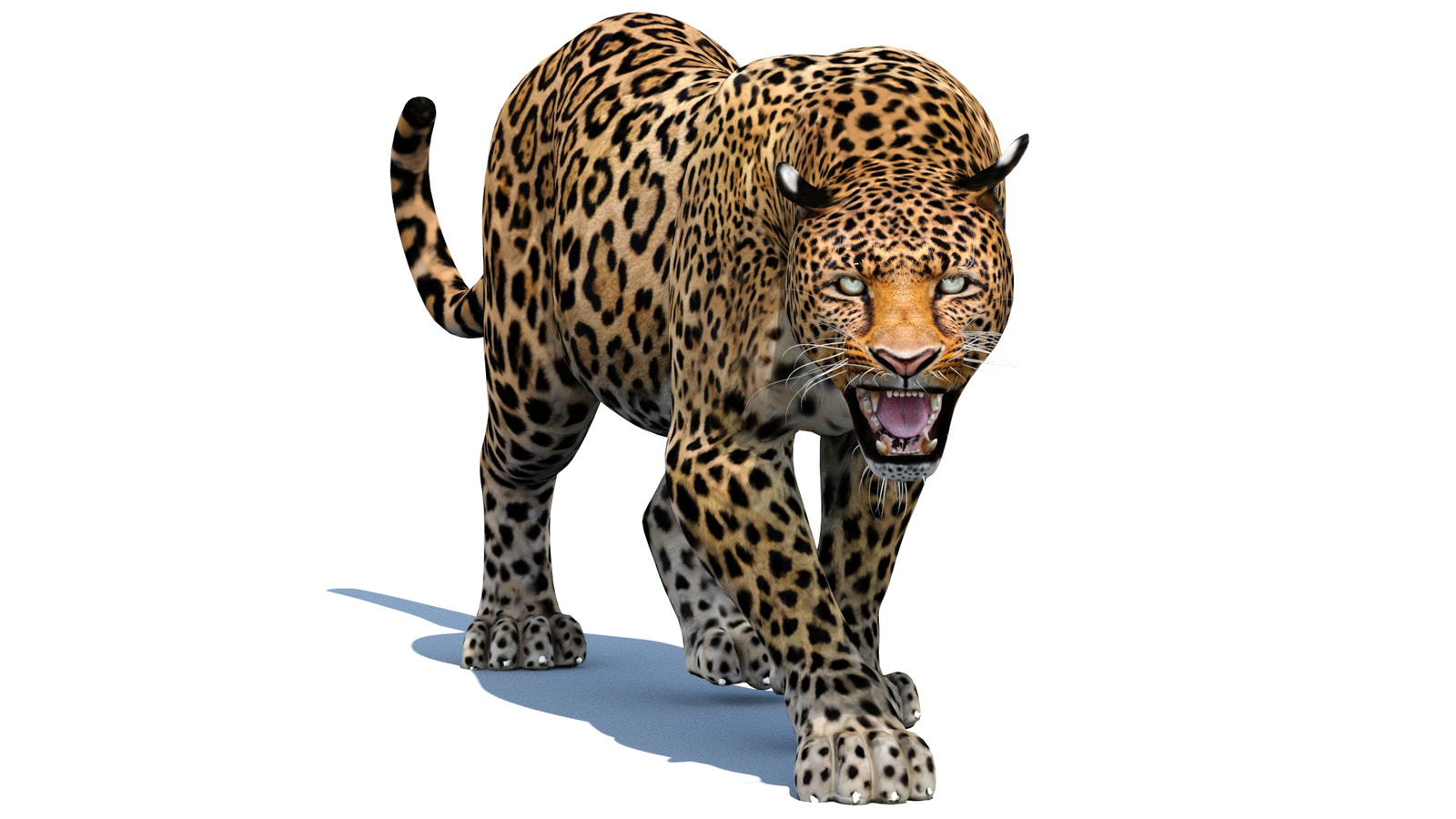 Realistic Leopard 3d Model Animated for Download