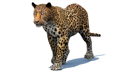 Leopard 3d Model Animated
