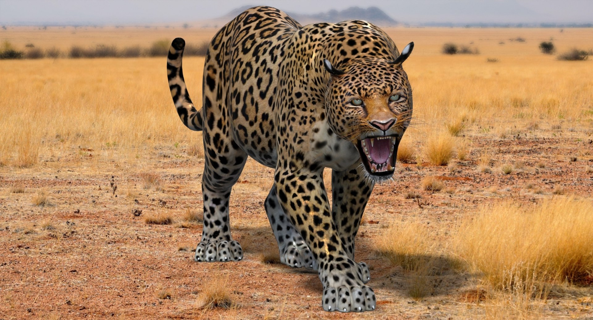 Leopard and Panther Animated 3D Model
