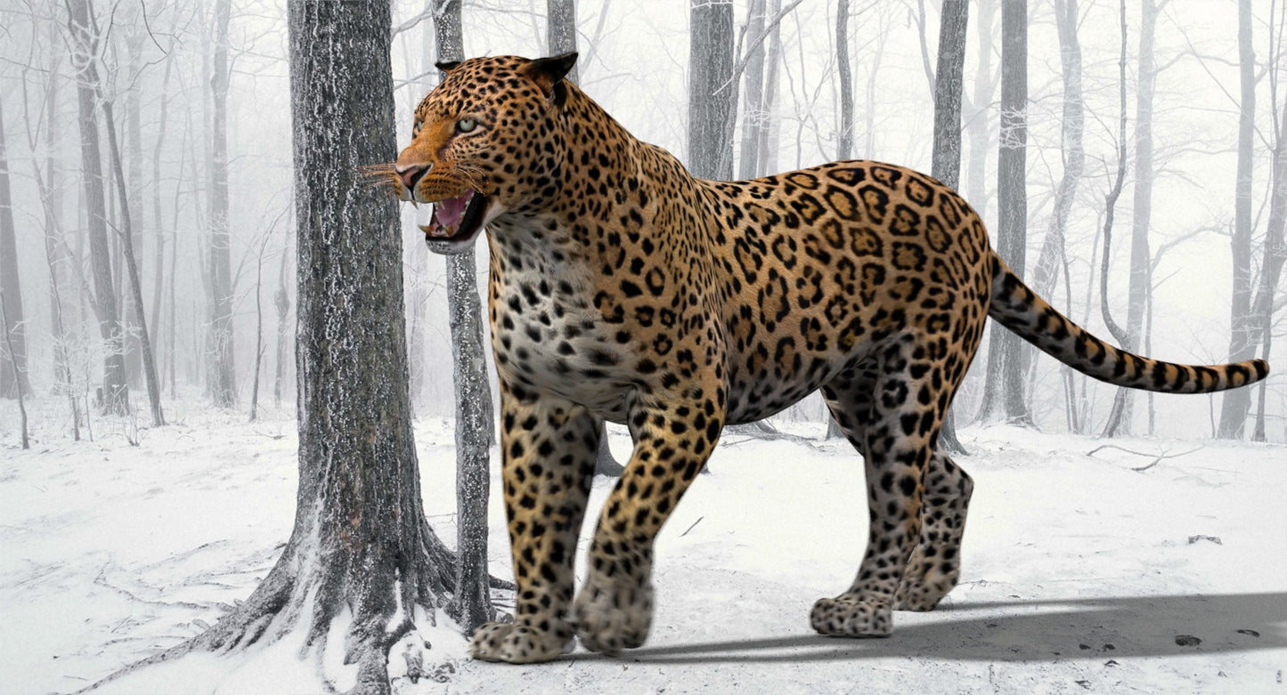 Big Cats 3D Model Animated