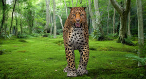Big Cats 3D Model Animated Thumbnail