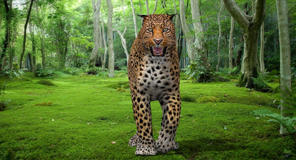 Big Cats 3D Model Animated