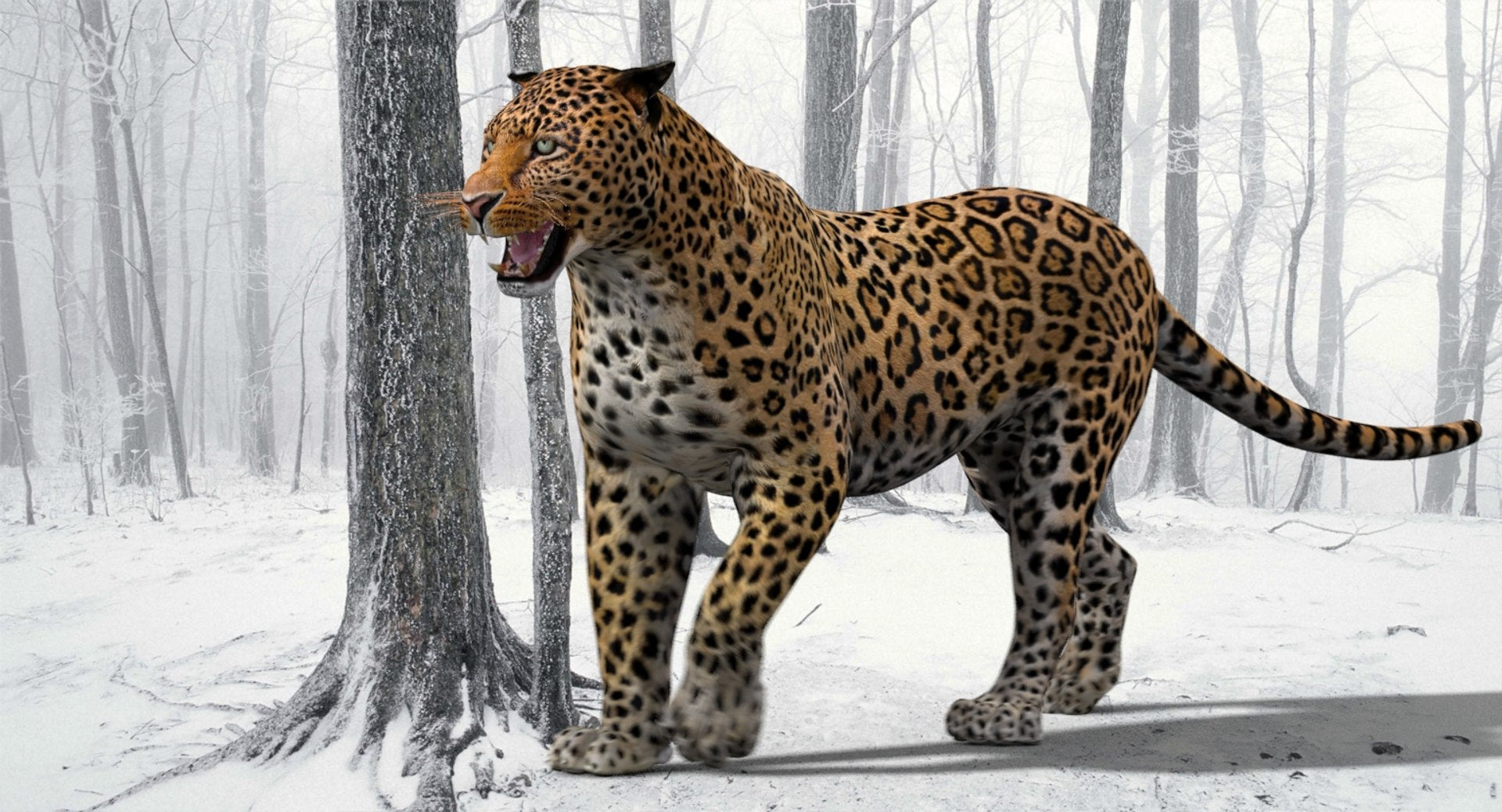 Leopard and Panther Animated 3D Model