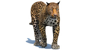 Animated Leopard 3d Model for Download Thumbnail
