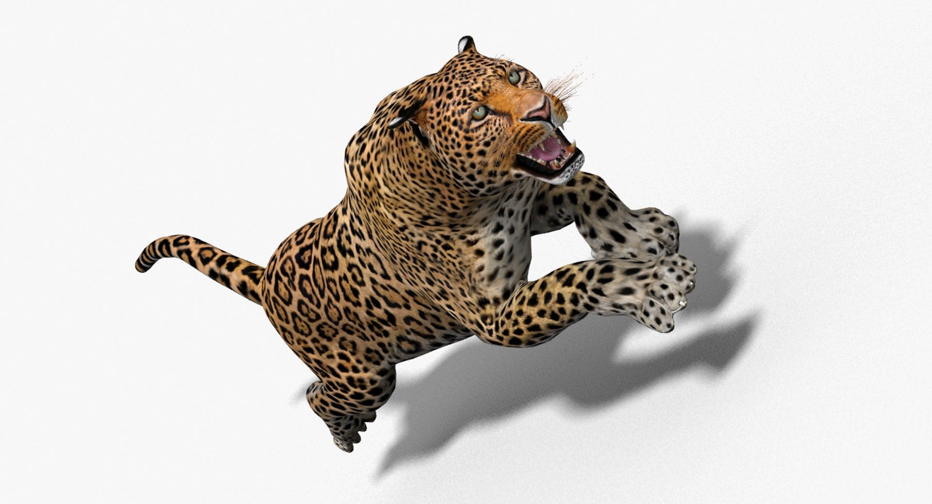 Leopard and Panther Animated 3D Model
