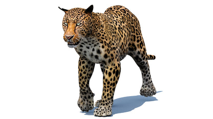 Leopard 3d Model Animated