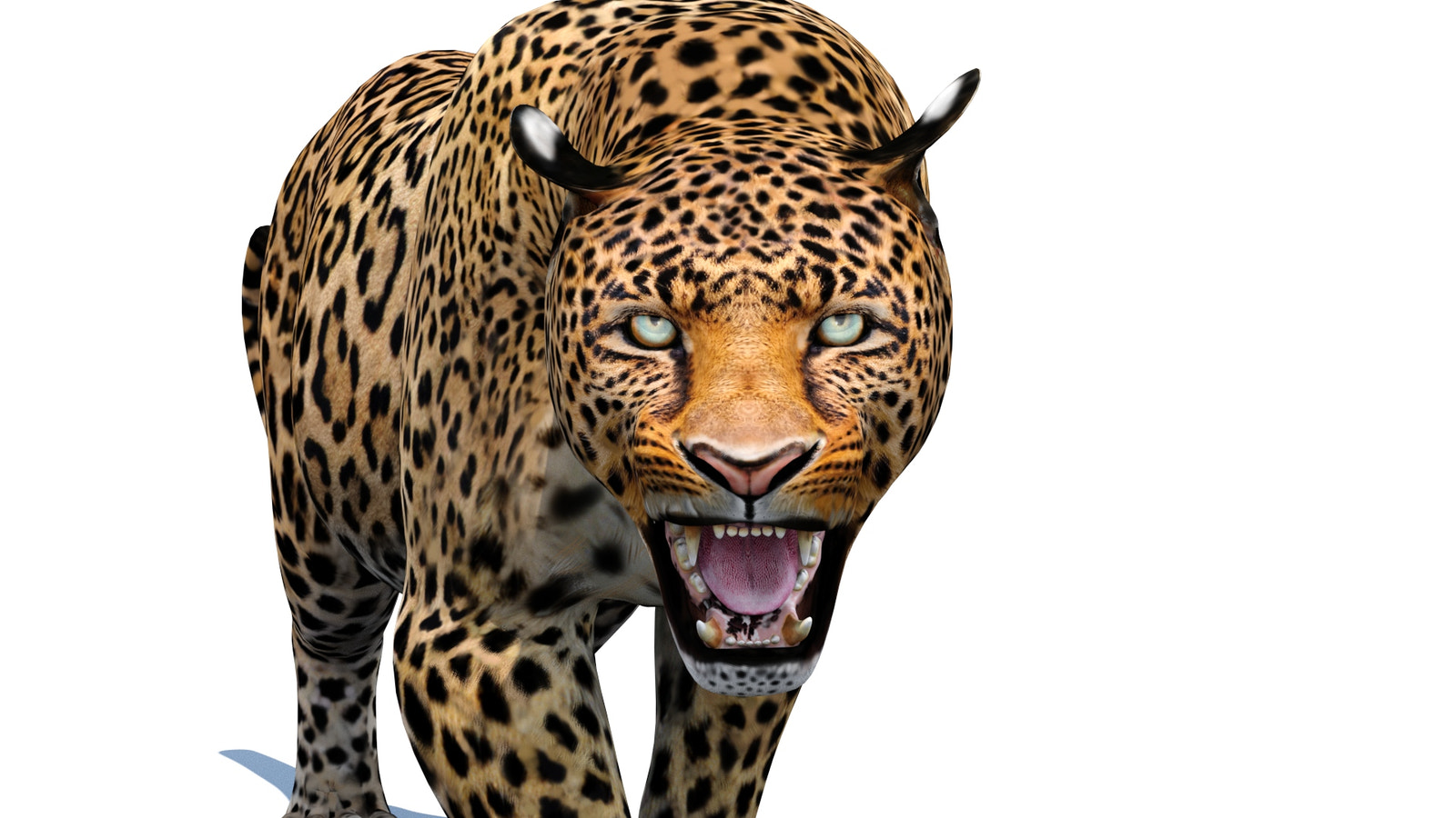 Animated Leopard 3d Model for Download Close Up