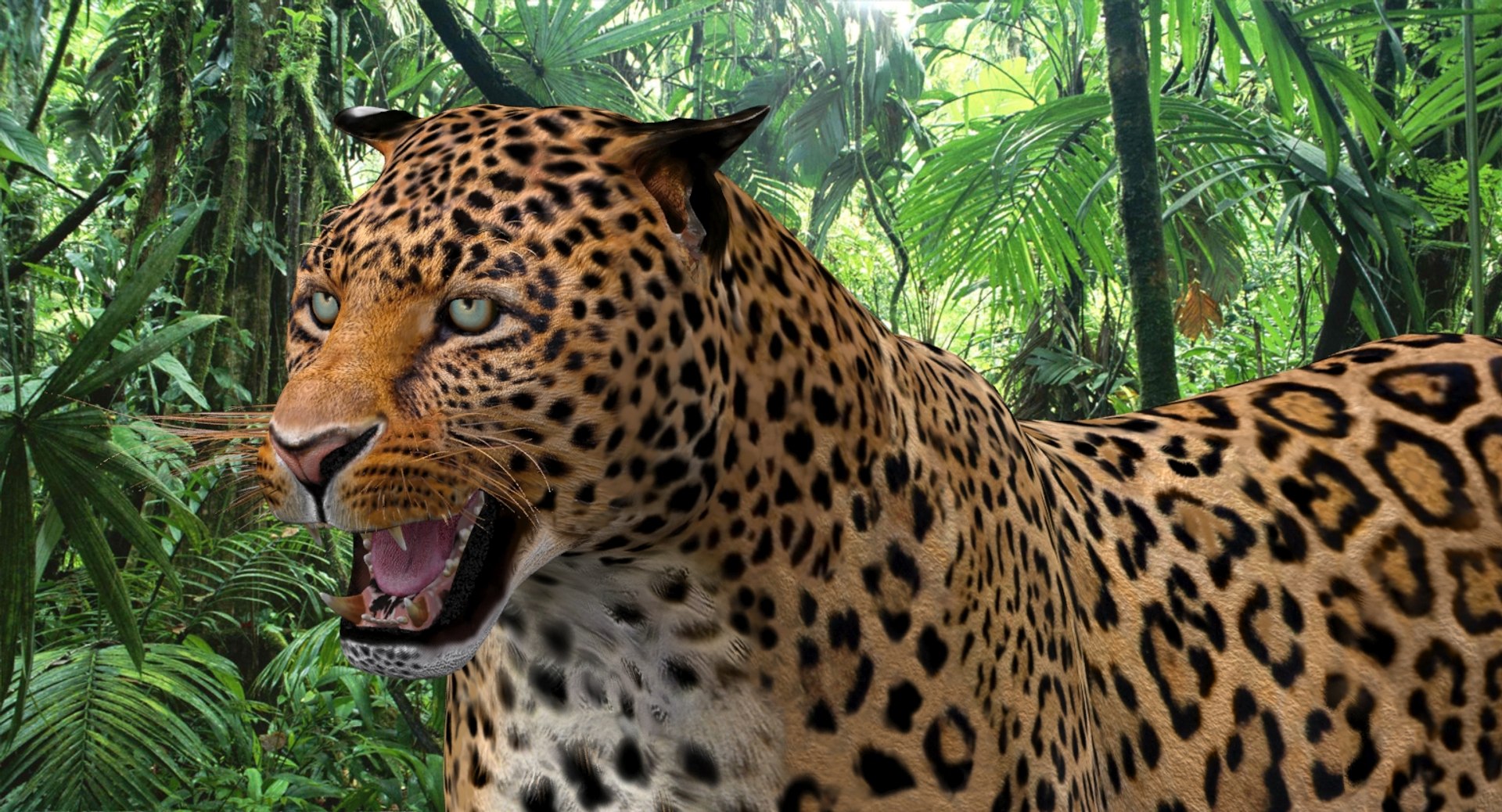 Leopard and Panther Animated 3D Model