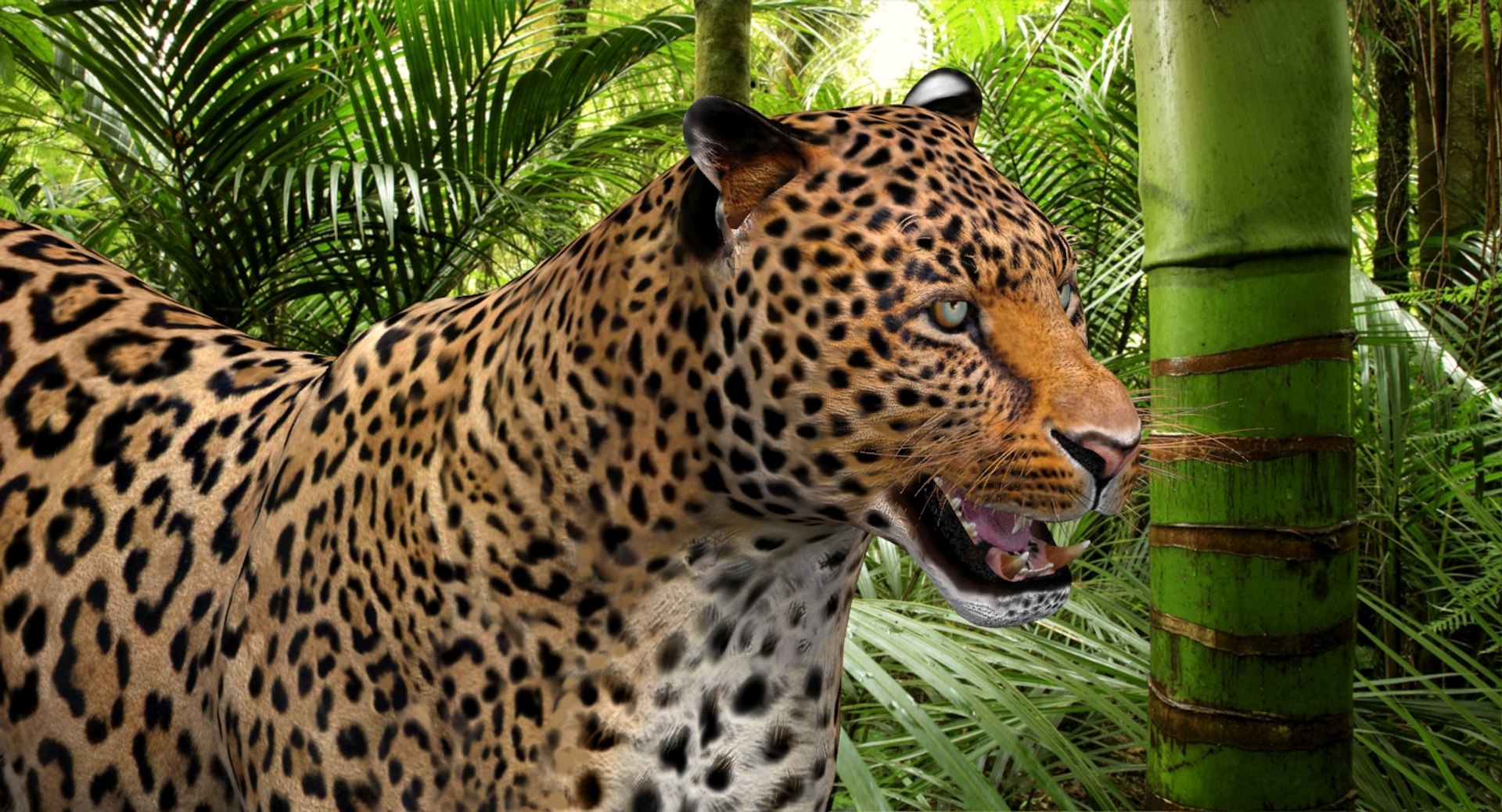 Leopard and Panther Animated 3D Model