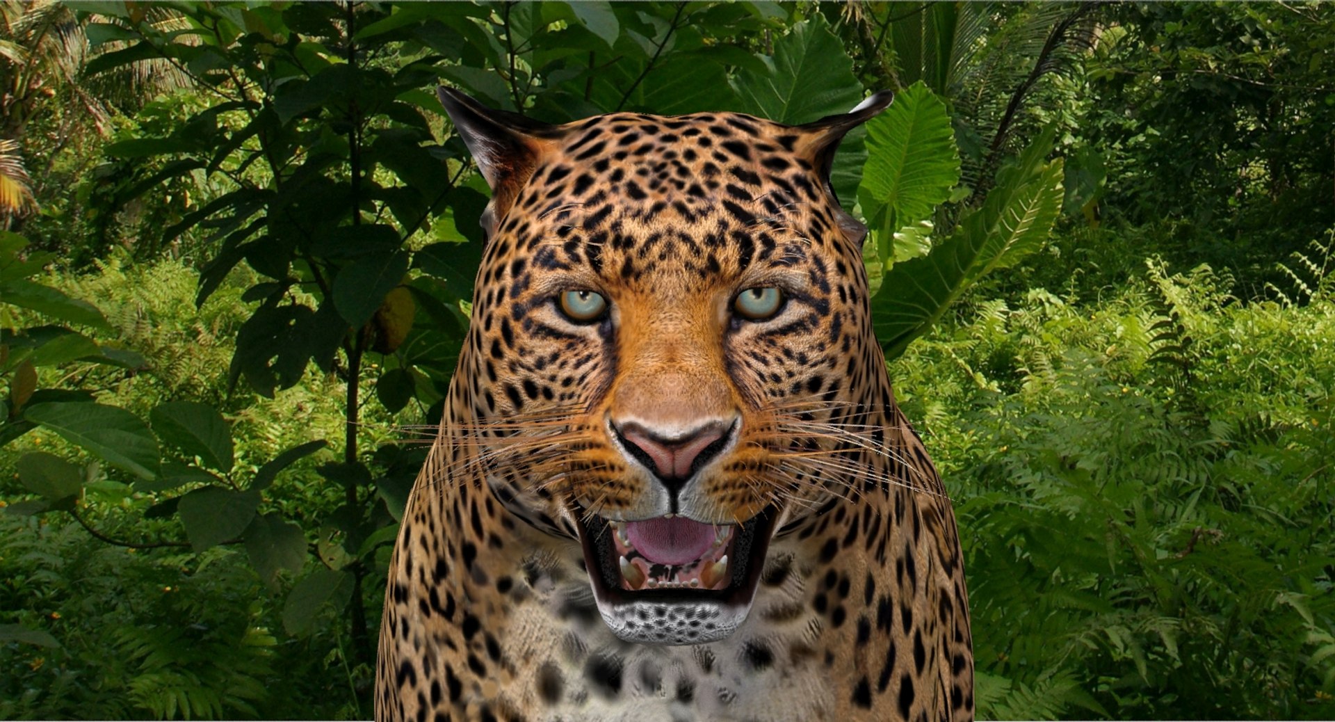 Leopard and Panther Animated 3D Model