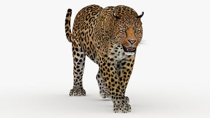 Leopard 3d Model Animated