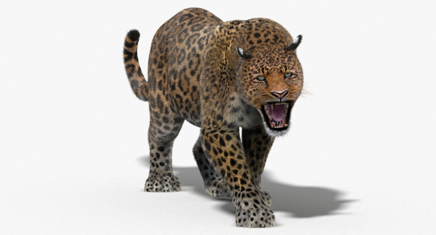 Animated Big Cats 3D Model Fur