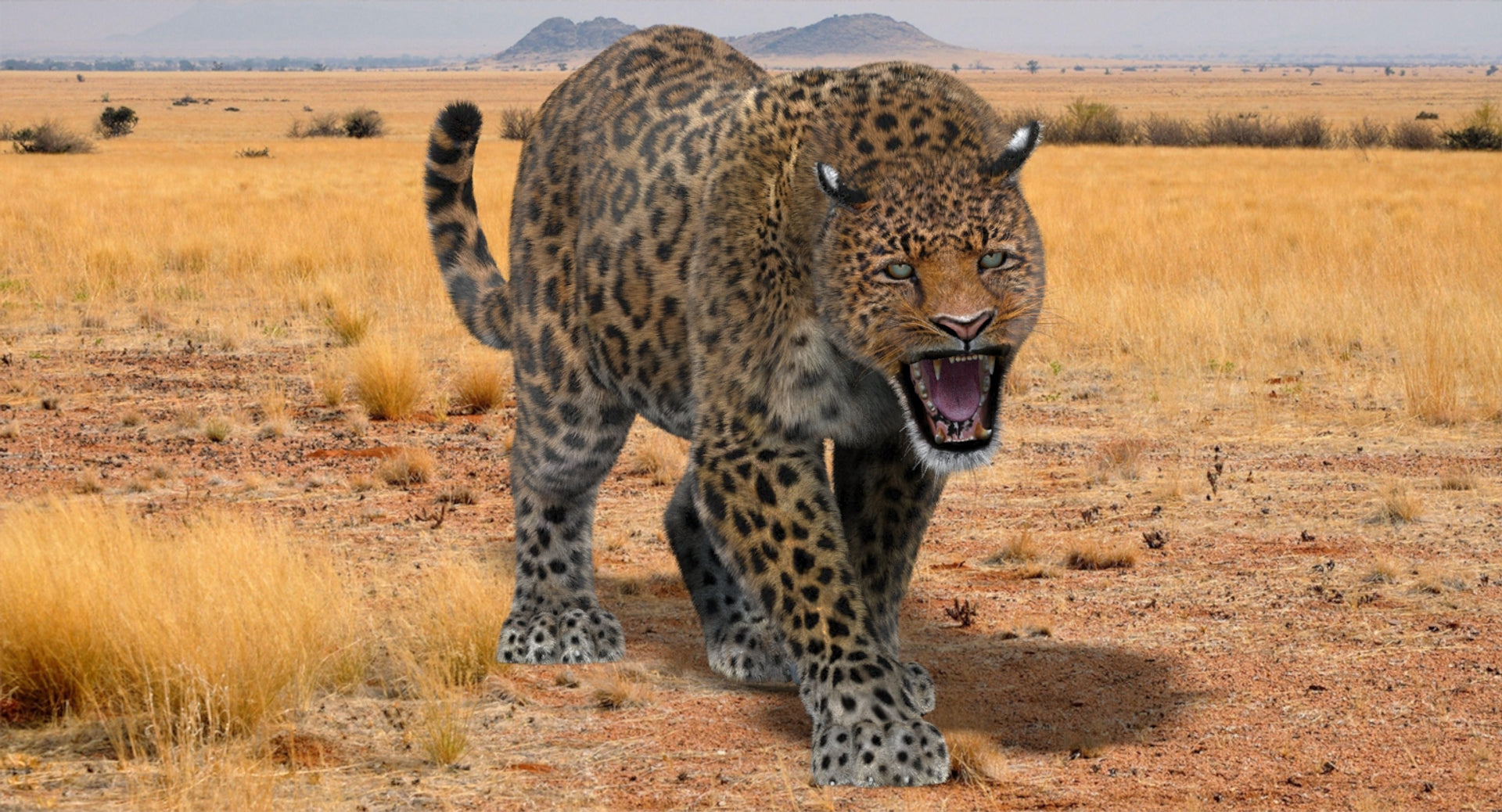 Animated Leopard 3D Model for Download