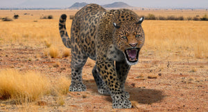 Animated Leopard 3D Model for Download Thumbnail