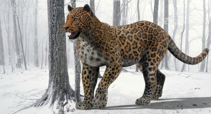 Animated Big Cats 3D Model Fur