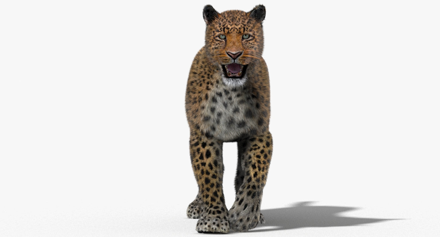 Animated Big Cats 3D Model Fur