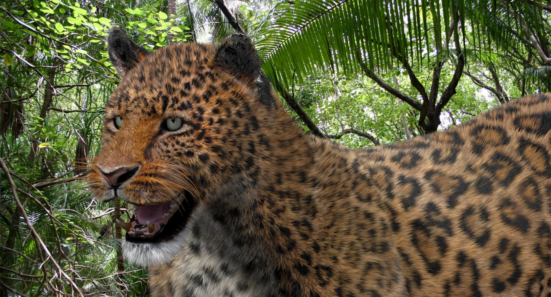 Animated Big Cats 3D Model Fur