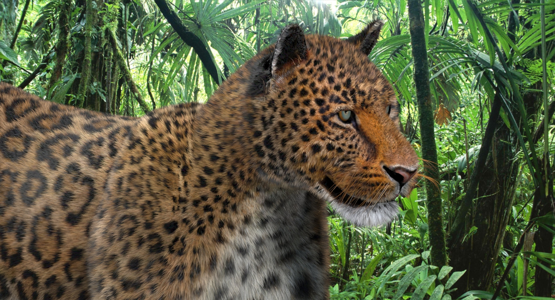 Animated Big Cats 3D Model Fur