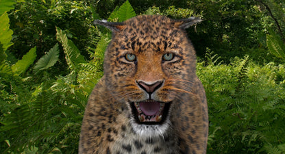 Animated Big Cats 3D Model Fur