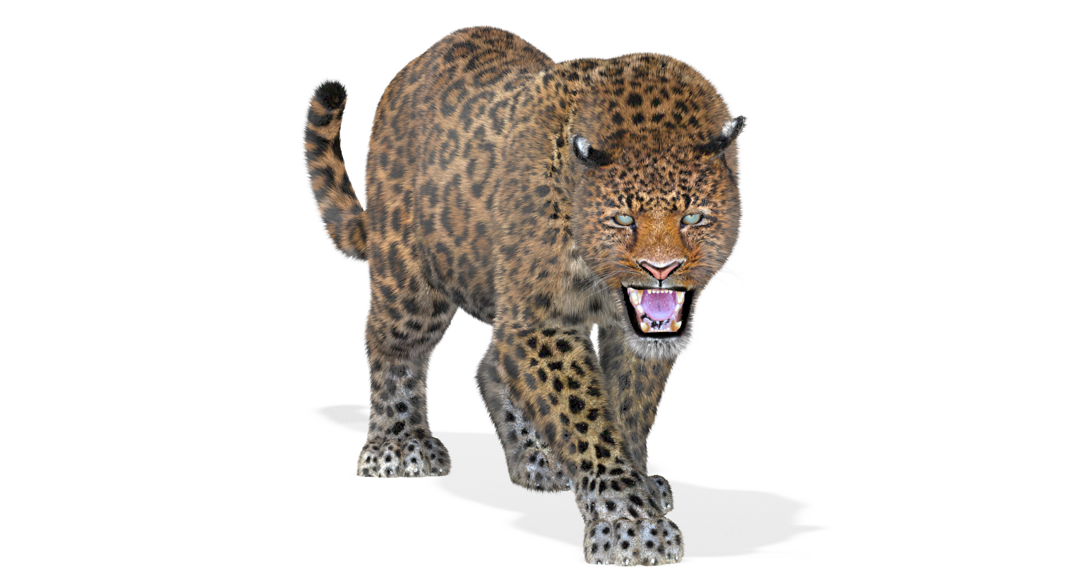 Animated Leopard 3D Model with Fur for Download
