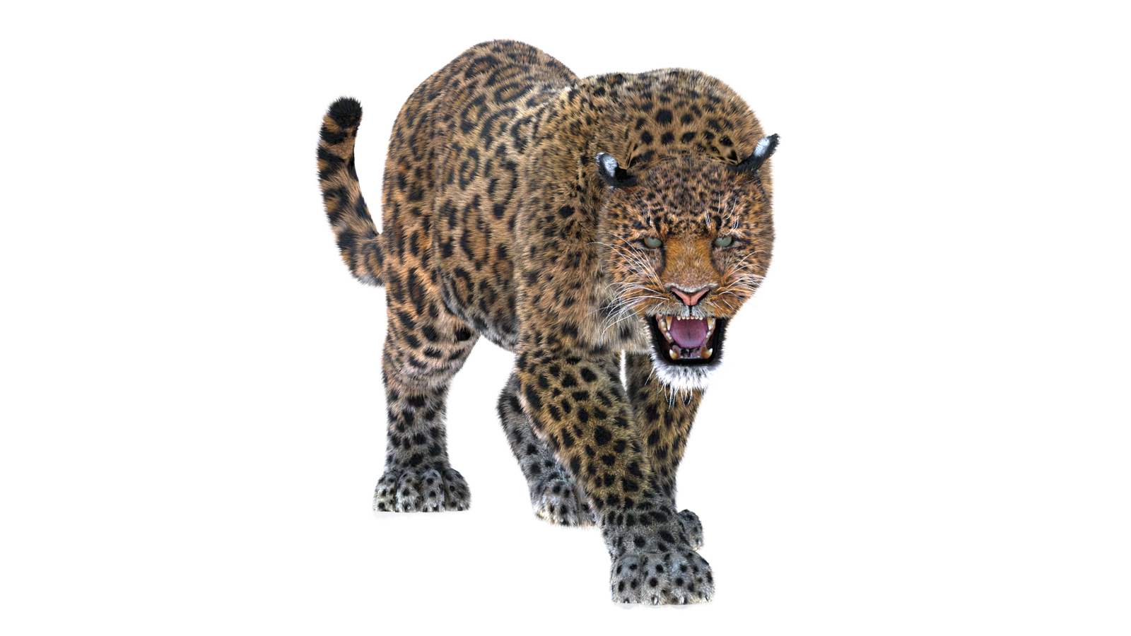 Animated Leopard 3D Model with Fur for Download
