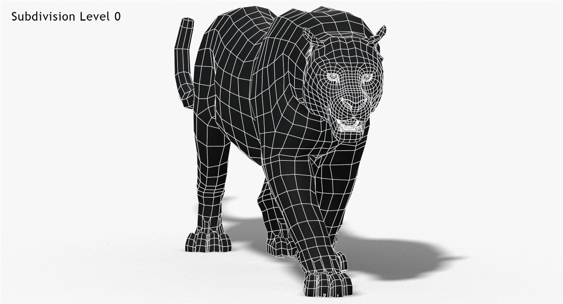 Animated Big Cats 3D Model Fur