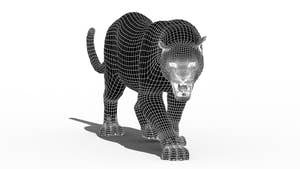 Leopard Animated Fur 3D Model Thumbnail
