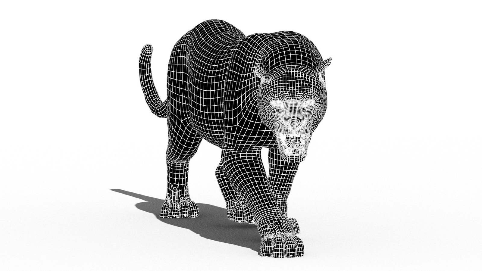 Leopard Animated Fur 3D Model