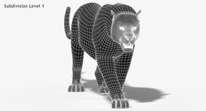 Animated Big Cats 3D Model Fur Thumbnail