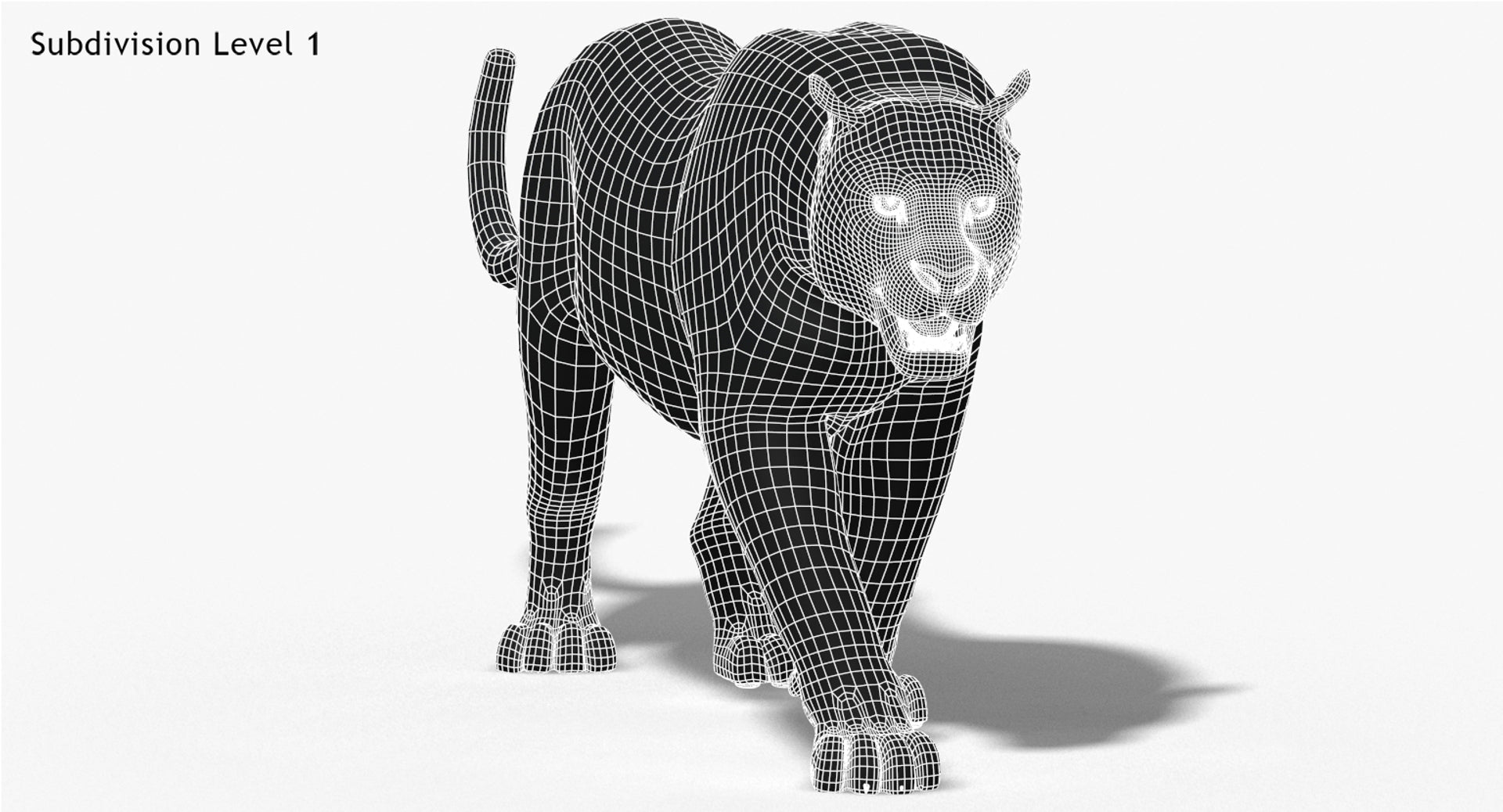 Animated Big Cats 3D Model Fur