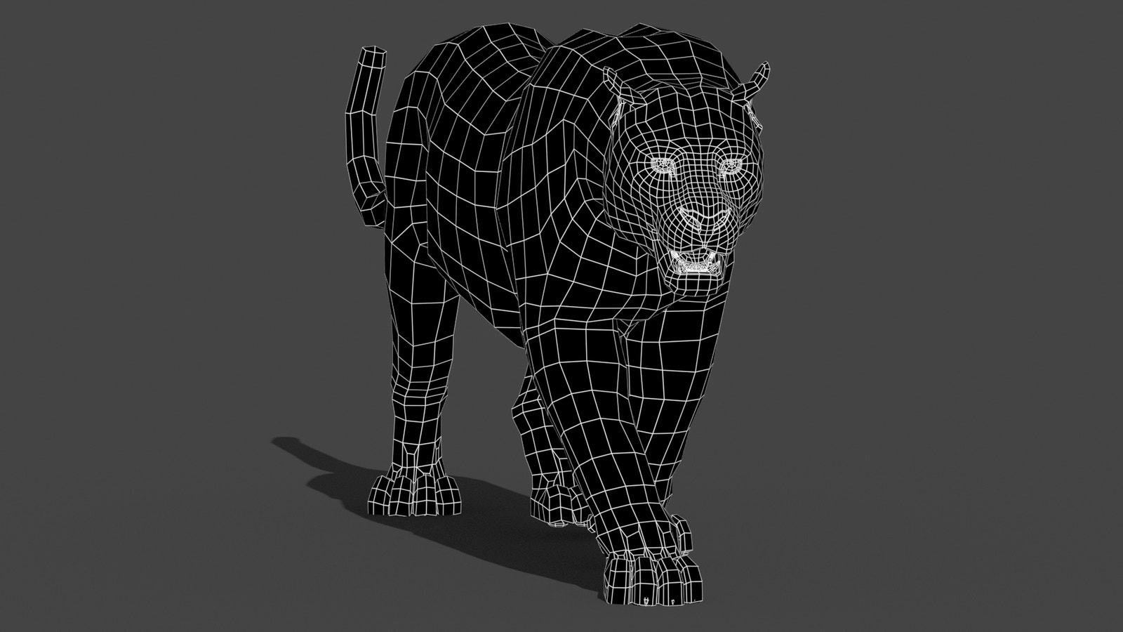 Animated Leopard 3d Model Wireframe View Subdivision Level 0