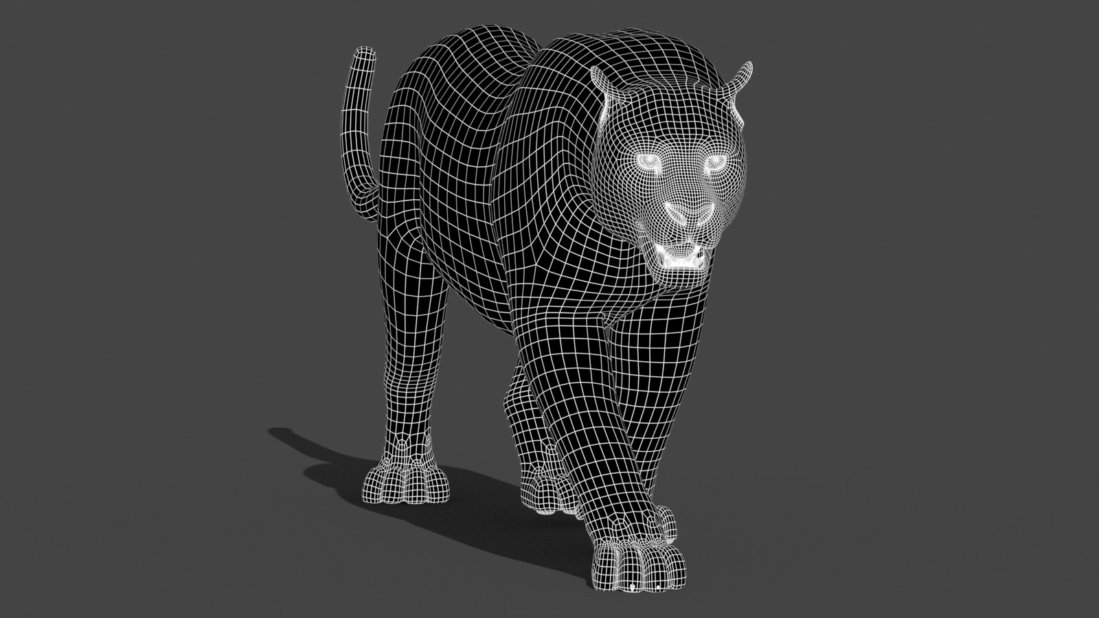 Animated Leopard 3d Model Wireframe View Subdivision Level 1
