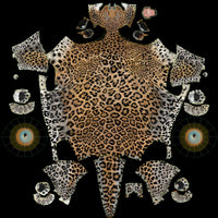 Leopard 3D Model Body UVs