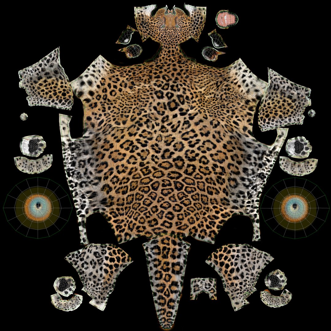 Realistic Leopard 3D Model Body UVs