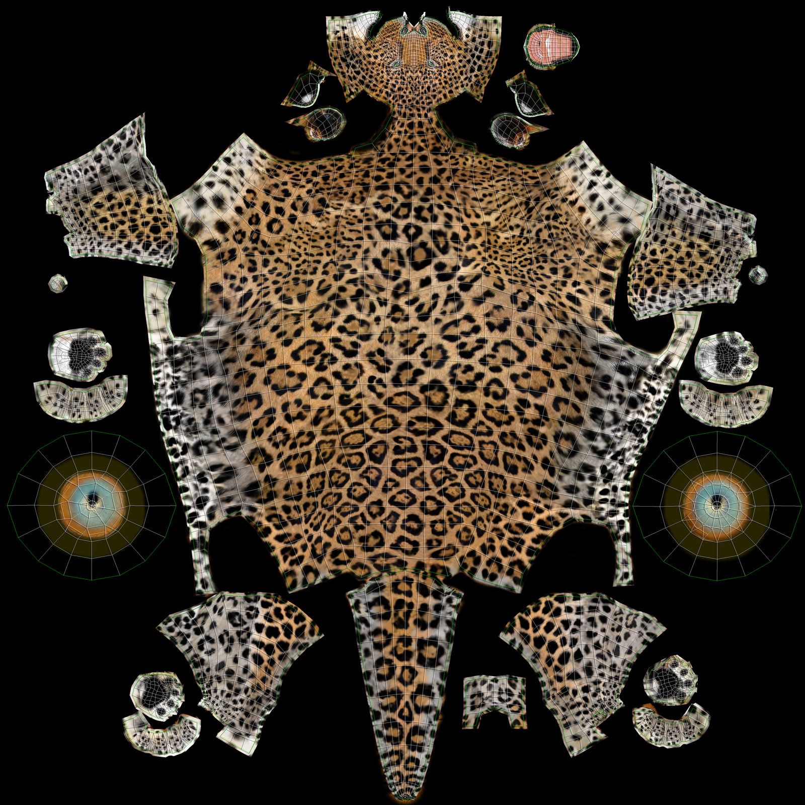 Realistic Leopard 3D Model Body UVs