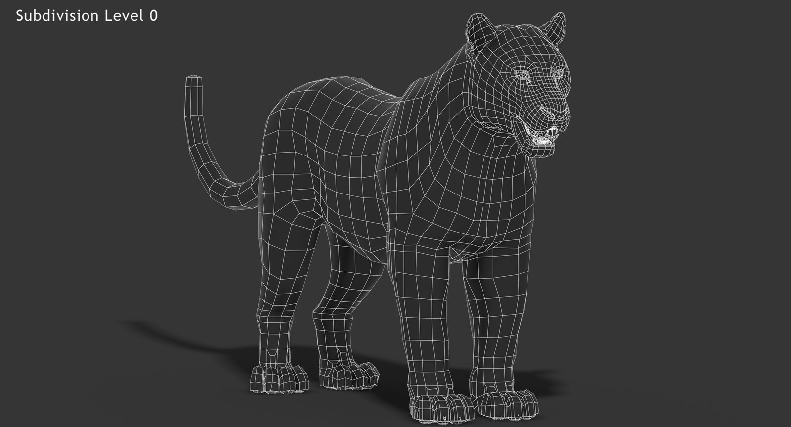 Realistic Leopard 3D Model Body Wireframe View Subdivision 0