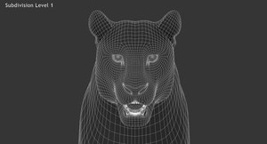 Realistic Leopard 3D Model Head Close Up Wireframe View Subdivision 1 Thumbnail
