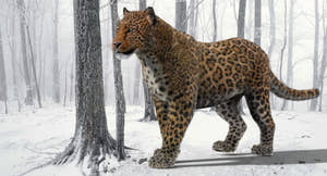 Realistic Leopard 3D Model with rigging and animation for Download Thumbnail