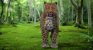 Realistic Leopard 3D Model with rigging and animation for Download Thumbnail